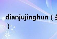 dianjujinghun（關(guān)于dianjujinghun的介紹）