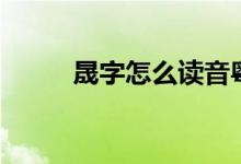 晟字怎么讀音粵語（晟字怎么讀）