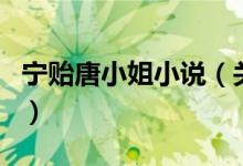 寧貽唐小姐小說（關于寧貽唐小姐小說的介紹）