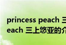 princess peach 三上悠亞（關于princess peach 三上悠亞的介紹）