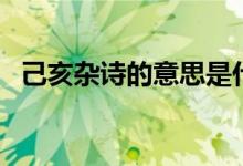 己亥雜詩(shī)的意思是什么（己亥雜詩(shī)的意思）