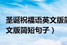 圣誕祝福語(yǔ)英文版簡(jiǎn)短小學(xué)生（圣誕祝福語(yǔ)英文版簡(jiǎn)短句子）