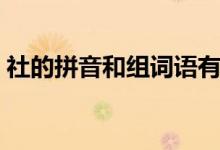 社的拼音和組詞語有哪些（社的拼音和組詞）