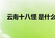 云南十八怪 是什么（云南十八怪的介紹）