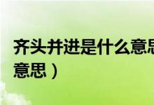 齊頭并進(jìn)是什么意思并造句（齊頭并進(jìn)是什么意思）