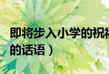 即將步入小學(xué)的祝福（寶貝即將步入小學(xué)祝福的話語）