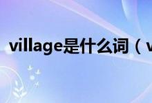 village是什么詞（village是什么意思中文）