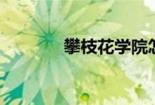 攀枝花學(xué)院怎么樣（好不好）