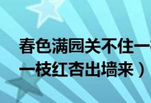 春色滿園關(guān)不住一枝紅杏（春色滿園關(guān)不住 一枝紅杏出墻來）