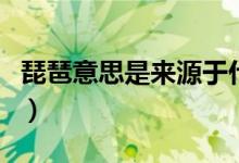 琵琶意思是來(lái)源于什么（琵琶一詞來(lái)源于什么）