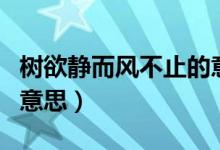 樹欲靜而風(fēng)不止的意思是（樹欲靜而風(fēng)不止的意思）