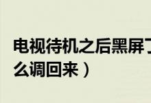 電視待機之后黑屏了怎么調(diào)回來（電視待機怎么調(diào)回來）