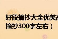 好段摘抄大全優(yōu)美高中300字（高中精美好段摘抄300字左右）