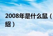 2008年是什么鼠（關(guān)于2008年是什么鼠的介紹）