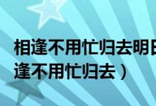 相逢不用忙歸去明日黃花蝶也愁什么意思（相逢不用忙歸去）