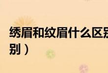 繡眉和紋眉什么區(qū)別圖片（繡眉和紋眉什么區(qū)別）