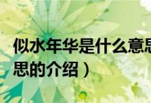 似水年華是什么意思（關于似水年華是什么意思的介紹）