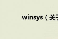 winsys（關(guān)于winsys的介紹）