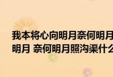 我本將心向明月奈何明月照溝渠是什么意思?（我本將心向明月 奈何明月照溝渠什么意思）