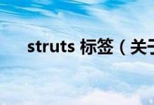 struts 標簽（關(guān)于struts 標簽的介紹）