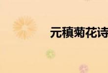 元稹菊花詩意（元稹菊花）