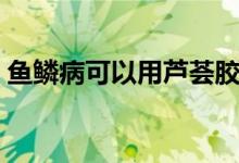 魚鱗病可以用蘆薈膠嗎（魚鱗病可以治愈嗎）