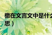 檄在文言文中是什么意思（檄在文言文中的意思）