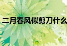 二月春風(fēng)似剪刀什么意思（二月春風(fēng)似剪刀）