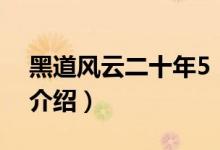 黑道風(fēng)云二十年5（關(guān)于黑道風(fēng)云二十年5的介紹）