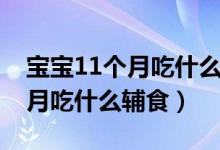 寶寶11個月吃什么能提高免疫力（寶寶11個月吃什么輔食）