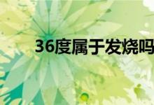 36度屬于發(fā)燒嗎（36度屬于低燒嗎）