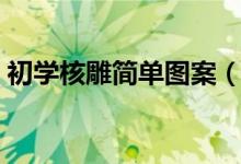 初學(xué)核雕簡單圖案（初學(xué)核雕最簡單的圖案）