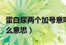 蛋白尿兩個(gè)加號意味著什么（選擇性蛋白尿什么意思）