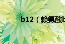 b12（賴氨酸b12的功效與作用）