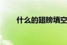 什么的翅膀填空詞語（什么的翅膀）