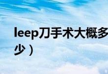 leep刀手術大概多少錢（leep刀手術費用多少）