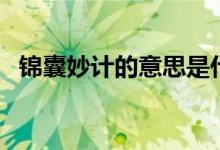 錦囊妙計的意思是什么（錦囊妙計的意思）