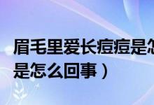 眉毛里愛長痘痘是怎么回事（眉毛里面長痘痘是怎么回事）