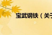 寶武鋼鐵（關(guān)于寶武鋼鐵的介紹）