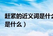 趕緊的近義詞是什么怎么寫的（趕緊的近義詞是什么）