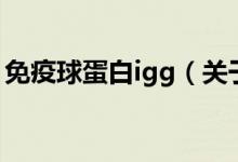 免疫球蛋白igg（關于免疫球蛋白igg的介紹）