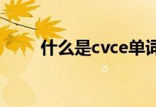 什么是cvce單詞（什么是cvc置管）