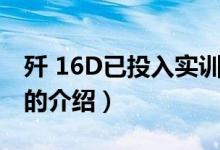 殲 16D已投入實訓（關(guān)于殲 16D已投入實訓的介紹）