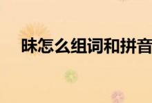 昧怎么組詞和拼音怎么寫（昧怎么組詞）