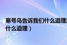 寒號鳥告訴我們什么道理用名言名句總結(jié)（寒號鳥告訴我們什么道理）