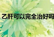 乙肝可以完全治好嗎（乙肝可以完全治愈嗎）