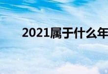 2021屬于什么年（2021屬于什么年）