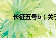 長(zhǎng)征五號(hào)b（關(guān)于長(zhǎng)征五號(hào)b的介紹）