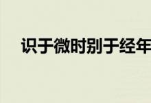 識于微時(shí)別于經(jīng)年什么意思（識于微時(shí)）