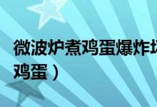 微波爐煮雞蛋爆炸壞了還能修好嗎（微波爐煮雞蛋）